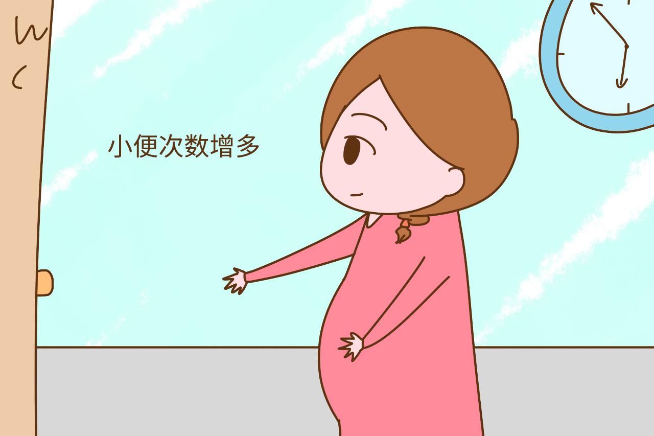 怀孕第一个月, 胎宝宝到底长什么样? 孕妈会有什么感觉呢?