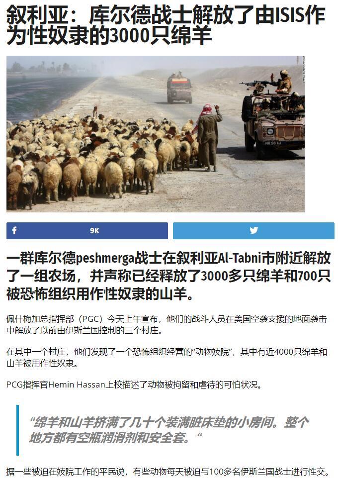 我只看看，不说话