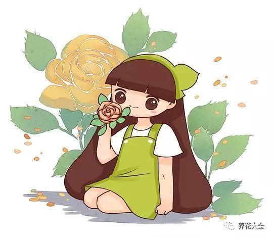 最全养花口诀! 10秒就学会, 长寿花越养越茂盛!