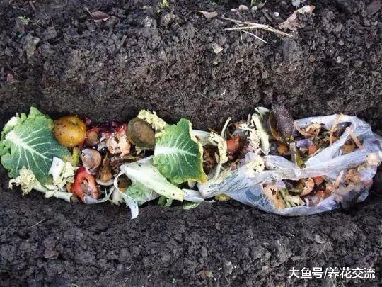 只需要挖一个坑就能制作堆肥, 等几个月就能得到健康的肥土