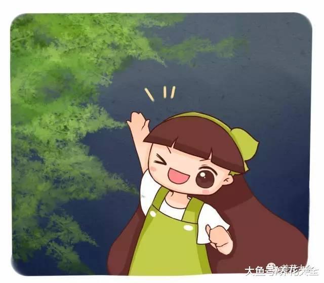 龟背竹虎皮兰也能养开花, 多少人见过?