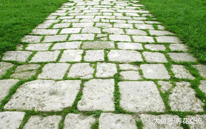 家里院子的小路用这12种方法布置, 逛一整天都不会厌烦