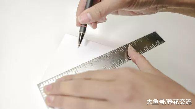 废弃的木头和铜丝自己DIY盆栽, 可以很轻松养好空气凤梨