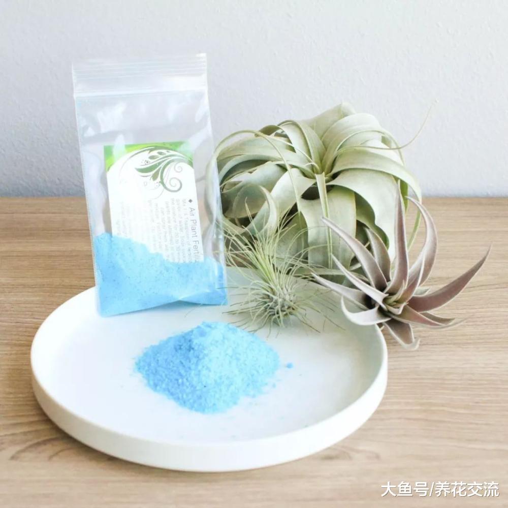 水培的植物应该如何施肥, 有什么需要注意的地方?