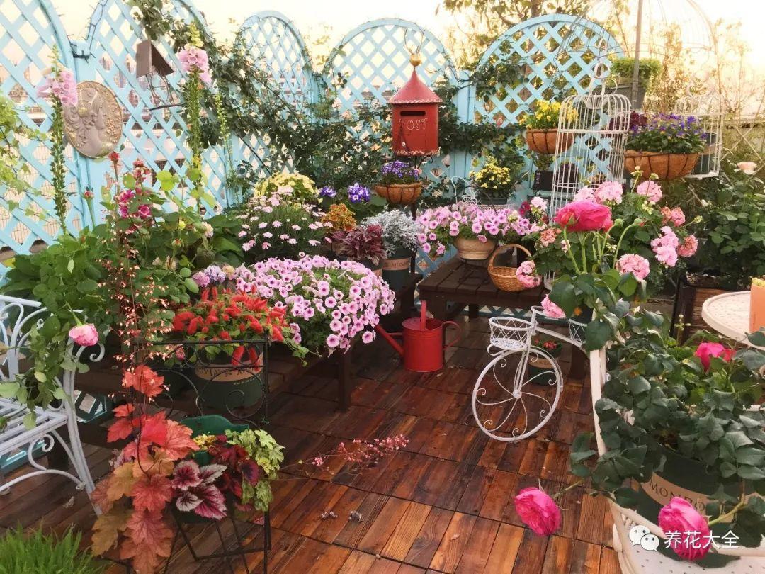 阳台脏乱差? 把花吊起来养, 5分钟变成小花园!