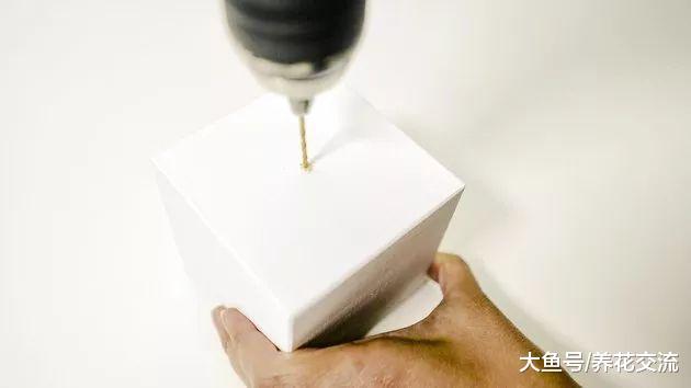 废弃的木头和铜丝自己DIY盆栽, 可以很轻松养好空气凤梨