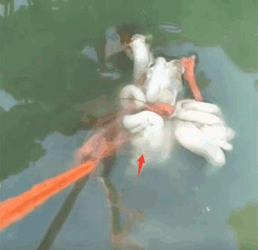 男子将鸡肠子扔进水里, 媳妇骂他浪费, 钓出的东西却让媳妇乐了