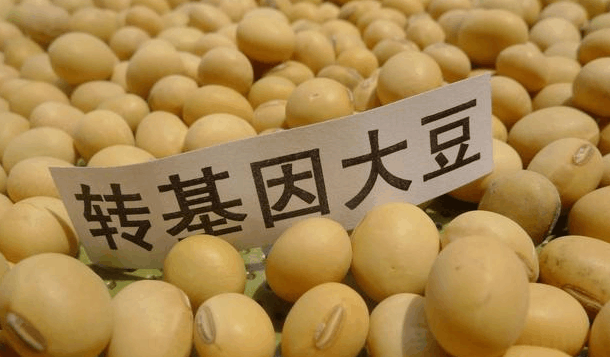 转基因食品对人体有4个危害, 可惜还是很受人们青睐