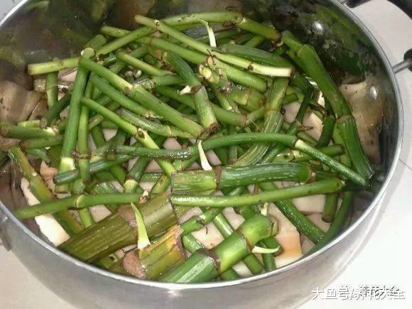 绿萝黄叶了别扔, 把它们留下种起来, 明年又是新的一盆!