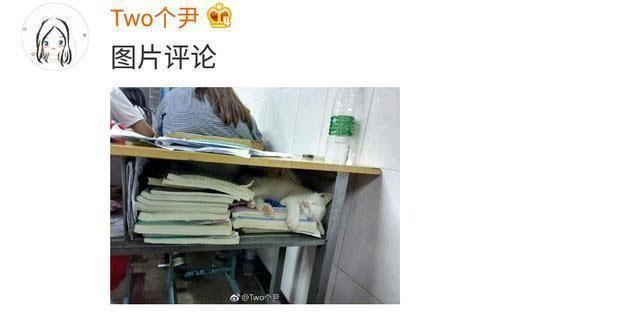 学生时代的美好的一瞬间, 这辈子都不会忘记, 好想回到那个时候