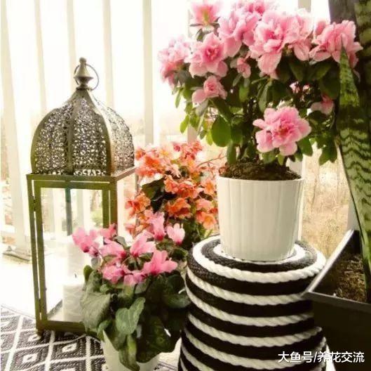 特别容易制作的几种DIY室外植物景观, 你喜欢哪种风格?