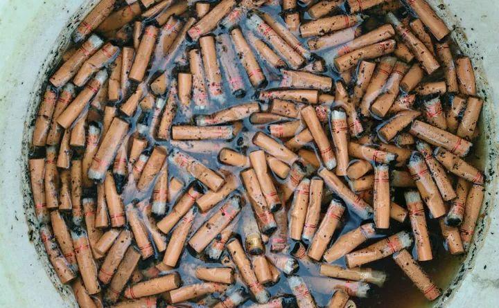 小东西不赶紧杀, 一夜把花啃成猪头, 肠子都要悔青了!