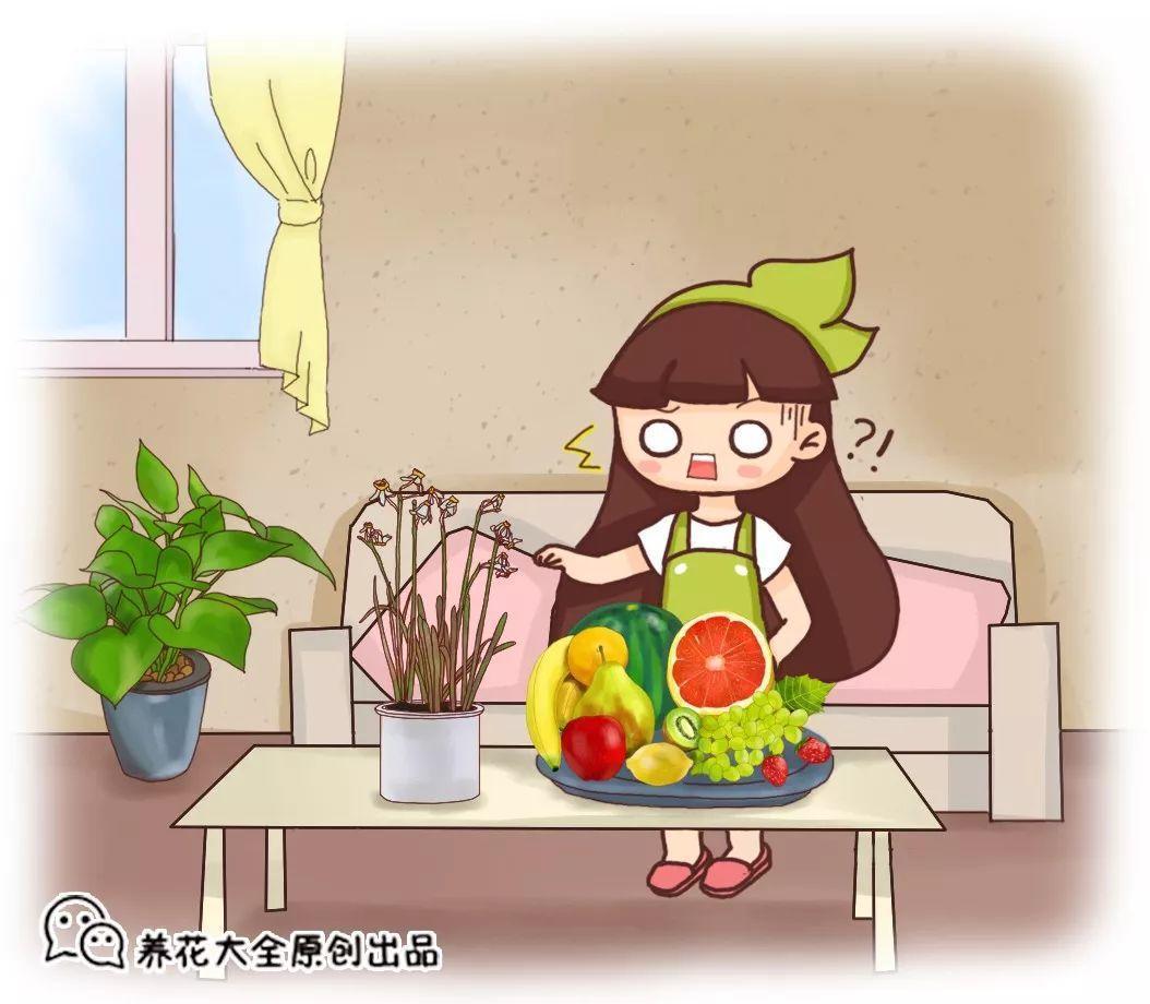 茶几餐桌放盆它, 越阴凉长得越旺, 再冷也能陪你顺利过冬!