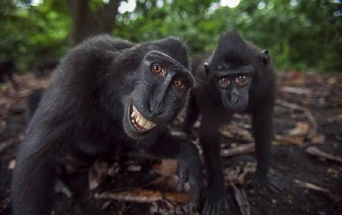 我，怎么，这么，好，看！ ​​