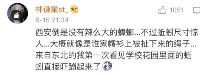 作为一个南方人应该知道的事情