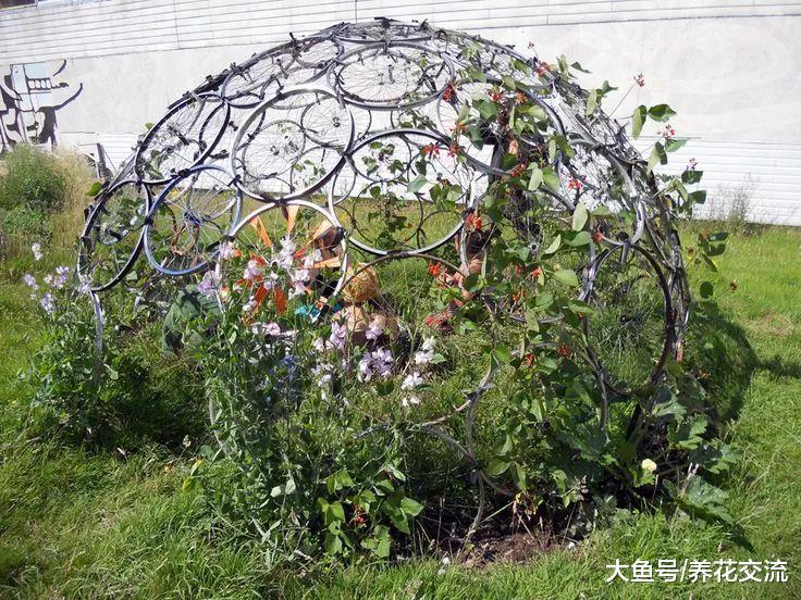 10个用家里废弃材料制作的植物架子, 不怕植物倒伏、株型散乱