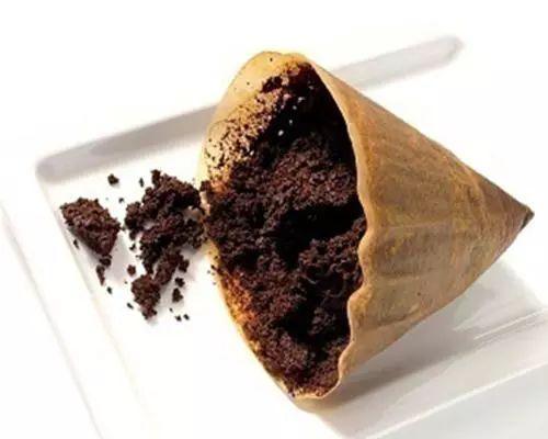 这些生活中的废弃物不要丢, 拿来养花刚刚好! 省钱又省事!