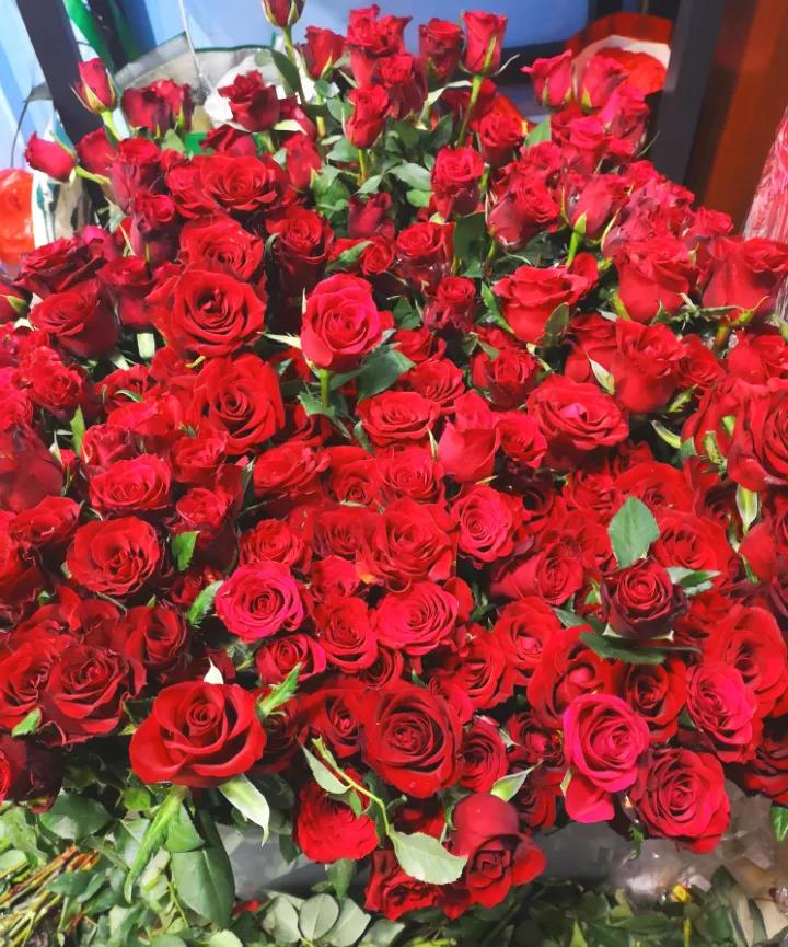 洋桔梗也能扦插, 7天生根1个月开花, 赚大发了!