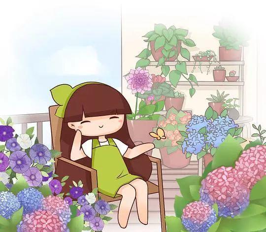 这8种天竺葵, 夏天也能开花, 温度再高也不怕!