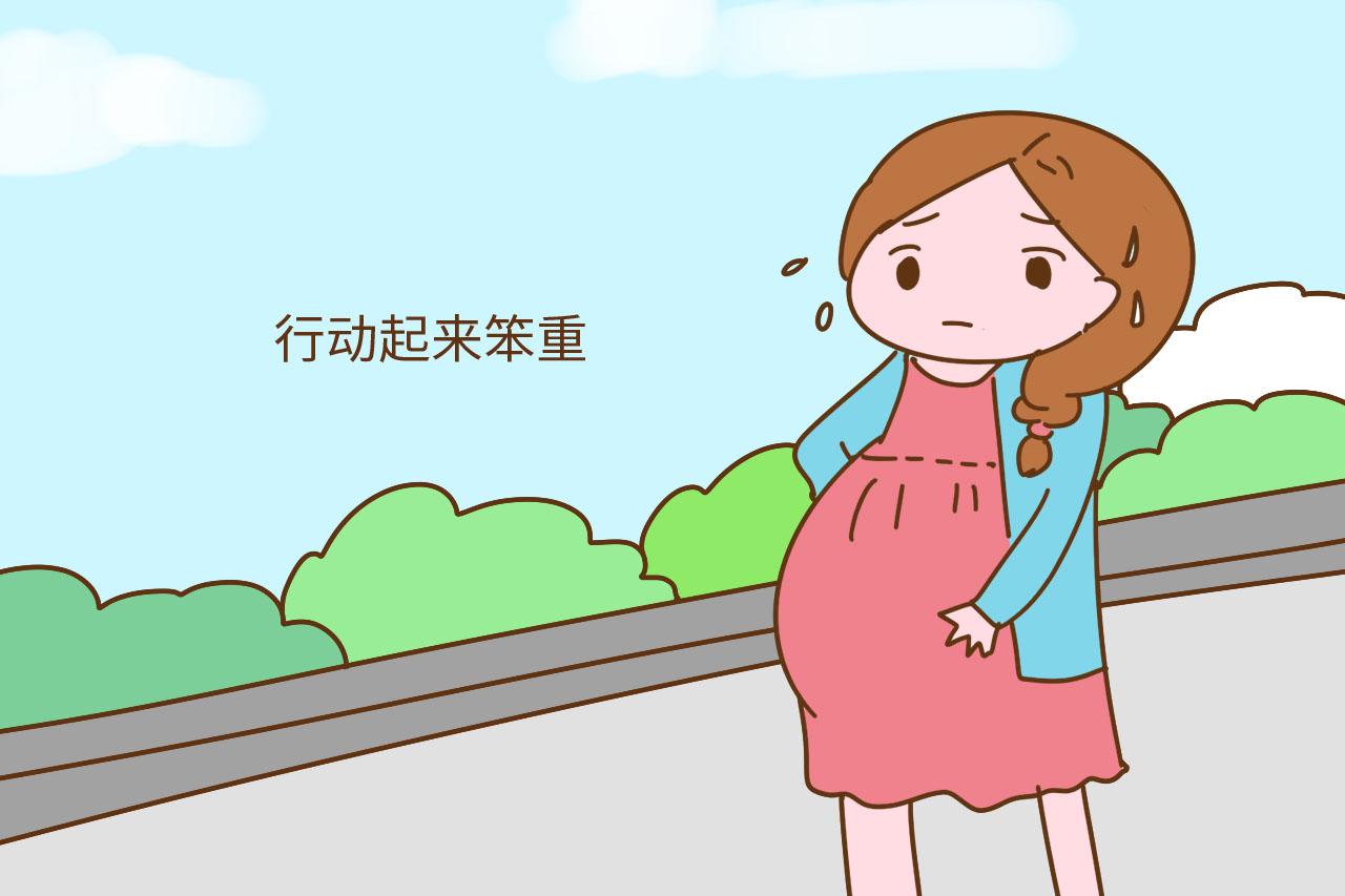 进入这个月份, 准爸爸要变身孕妈的“贴身保镖”, 时刻保护她