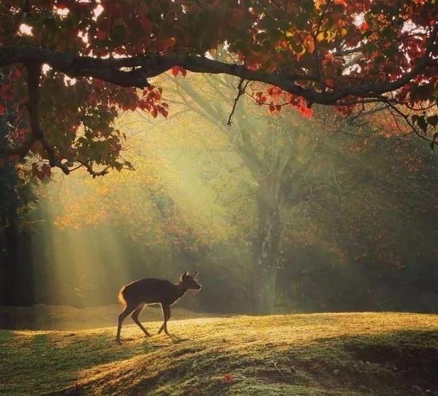 这十句话, 很适合发到朋友圈里!