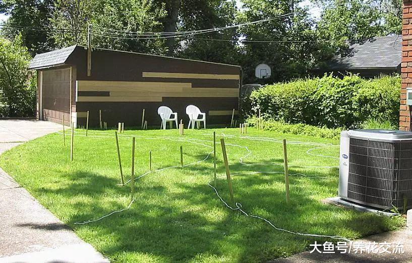 花友的草坪改造成一片玫瑰园, 种满各种月季花