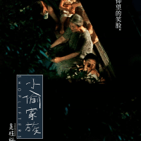 在文艺里流浪的猫