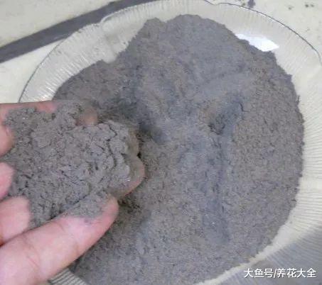 虫子比花长得都快? 那就撒点这个, 比杀虫剂还管用!