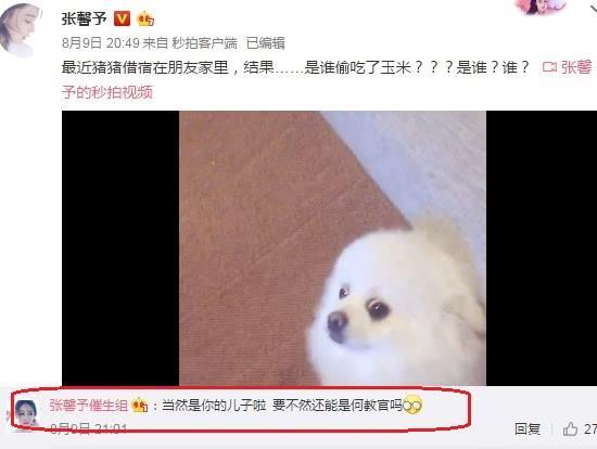 张馨予确认怀孕: 送走爱犬安心养胎, 一脸甜蜜的笑容很幸福