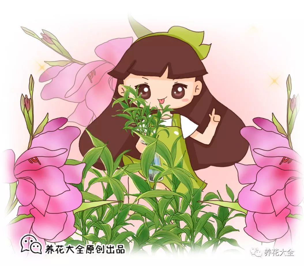 富贵竹造型在家做, 用绳子一捆绑, 简单搞定葫芦形!