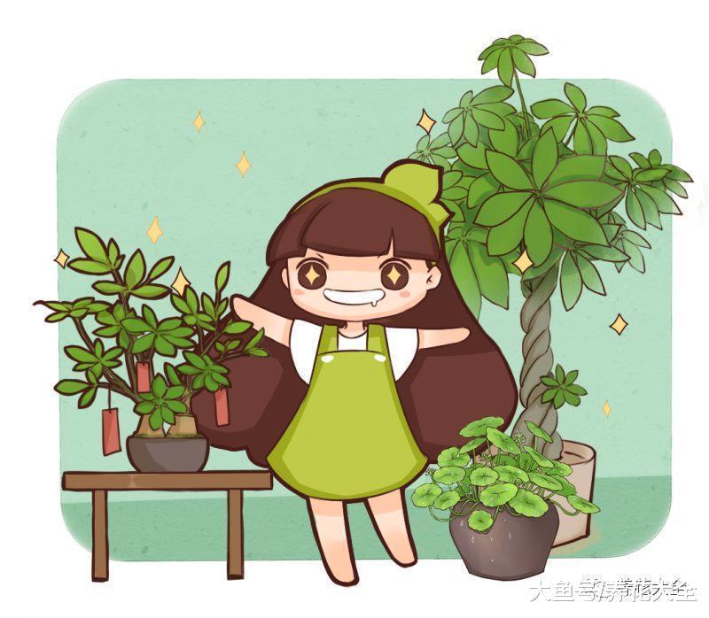 还养啥花? 这7种花, 养叶子比花还要美!