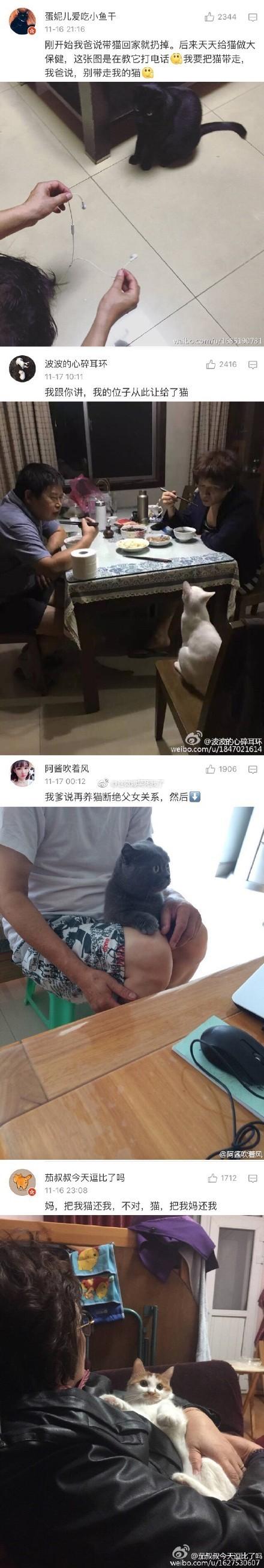 父母一开始不让养宠物, 养了之后爱得不要不要的