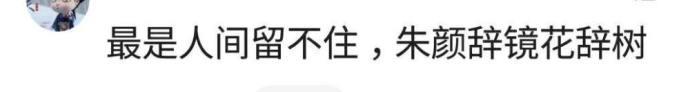 有那么一句话, 每次读到都忍不住湿了眼角