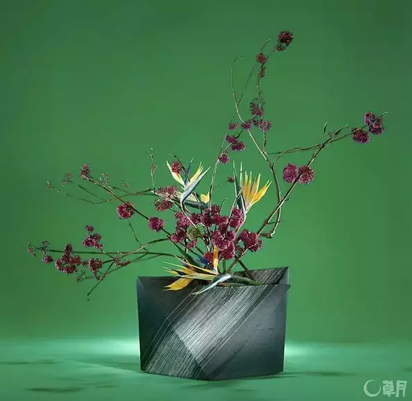 八戒游戏