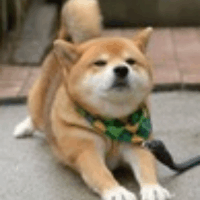 智能手机