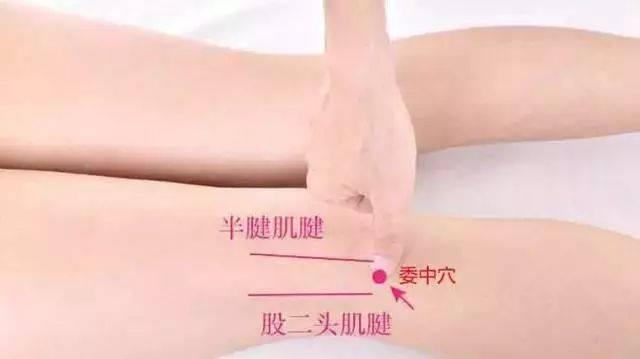 女人身上有3个“排毒窝”, 三伏天拍一拍, 去湿气排毒素, 健康一整年