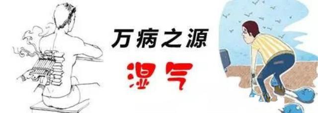 每天拍一拍, 拍掉体内湿气, 百病无, 简单易学!