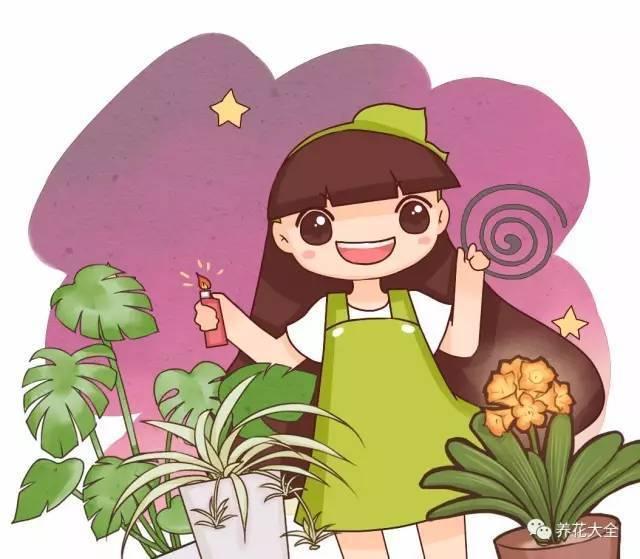 过冬小妙招, 给花吃点骨头粉, 顶上10件棉衣!
