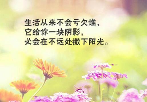 早安心语正能量语录配图, 拿去发朋友圈吧!