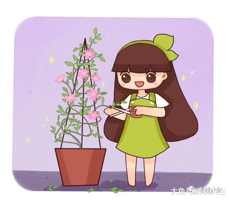 从一片叶到爬满墙, 只用了1个月, 这花繁殖力真强!