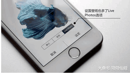 iphone 的这五个功能太好用了, 你要是不用可就亏大发了