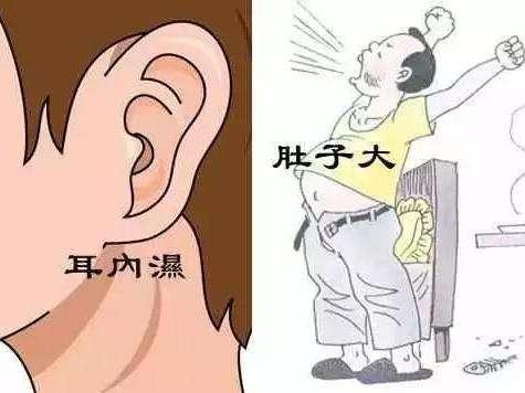 湿气危害大, 饭后吃这些, 逼走多年湿毒, 小腹平坦!