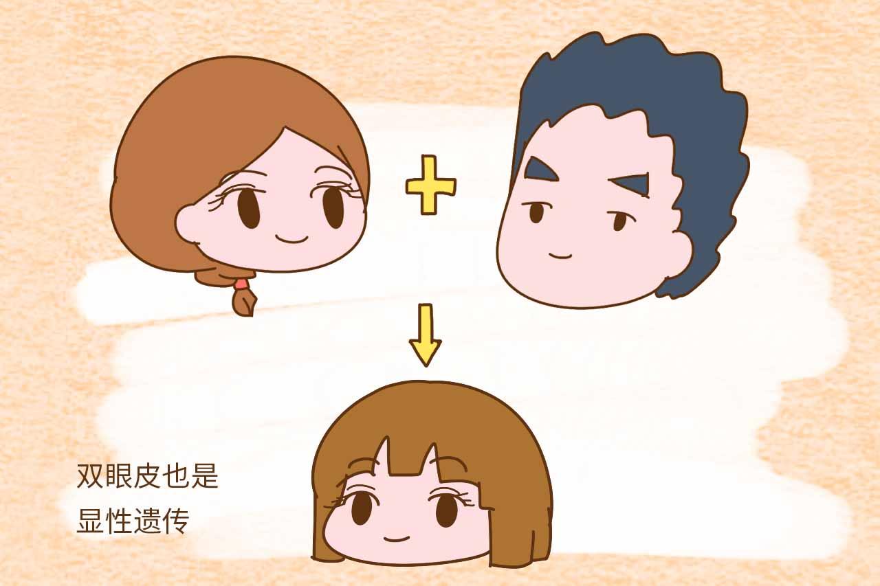 宝宝的相貌是这样遗传的, 看完就可以想象出孩子的样子了, 真神奇