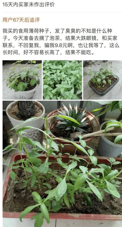 奇葩买家秀|可能是给错种子了
