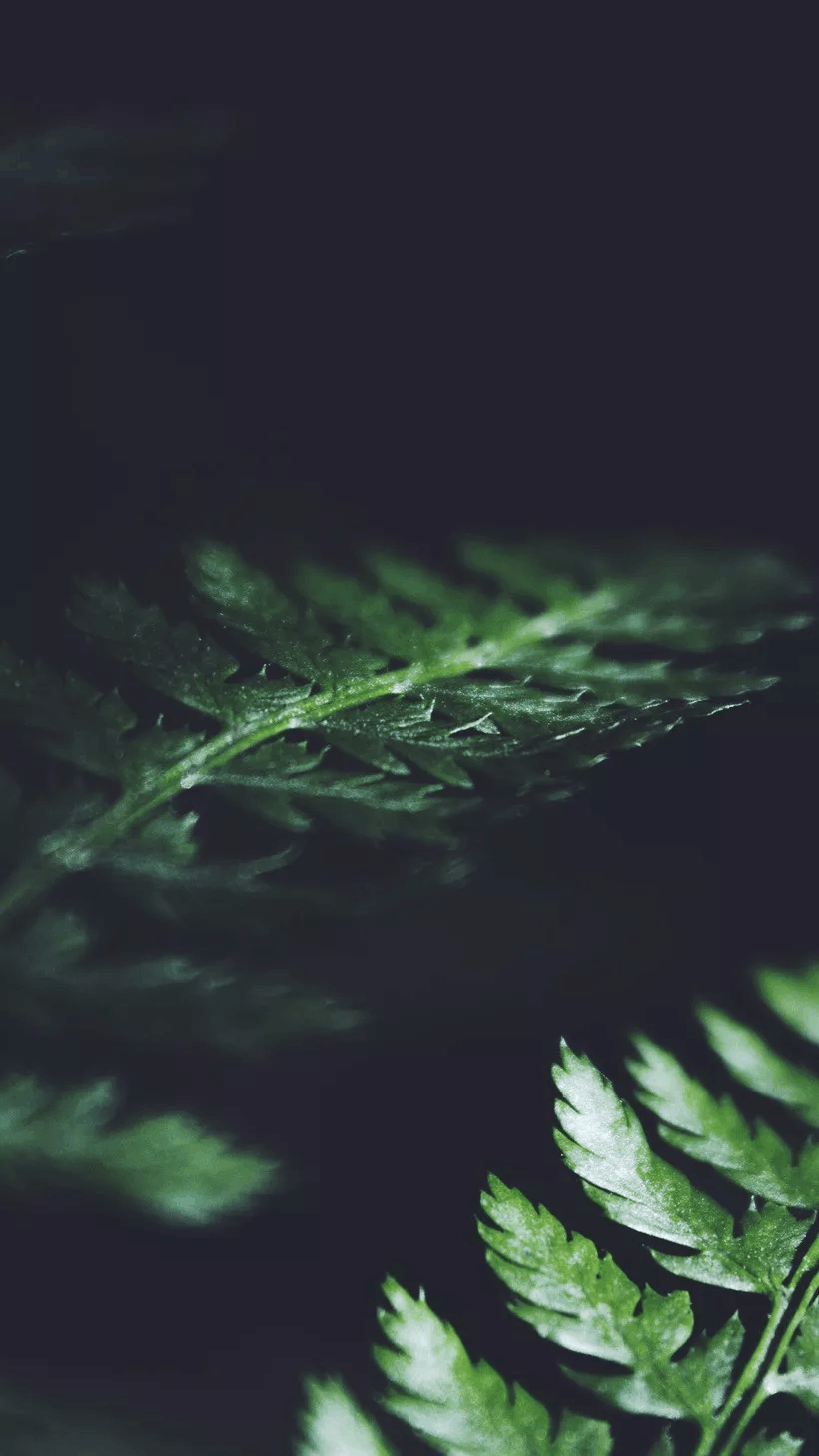 充满个性的短句, 最新微信签名