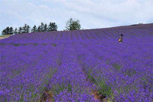 那一刻你就会明白, 遇到了这十句话是对的