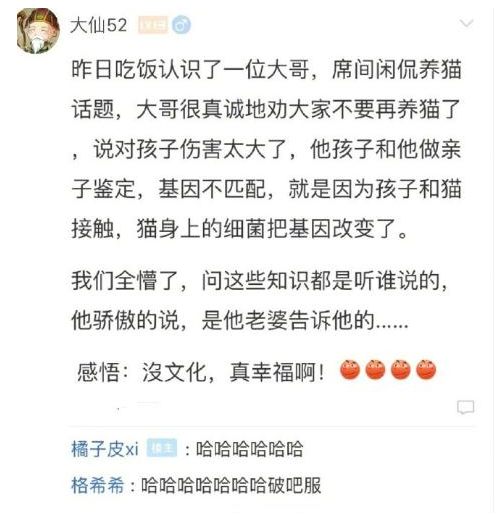 猫：这个绿锅我不背