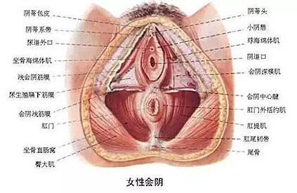 顺产也要挨一刀? 解读顺产侧切全过程!