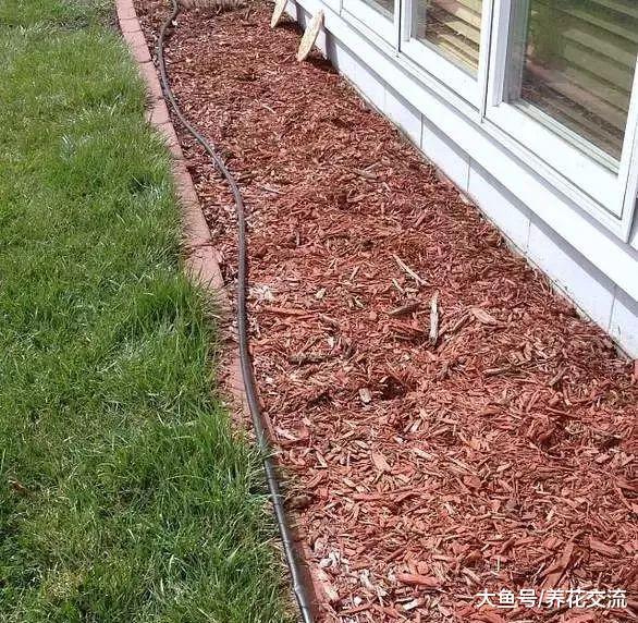 用简单软管制作自动滴灌系统, 植物花卉能够自动补充水分