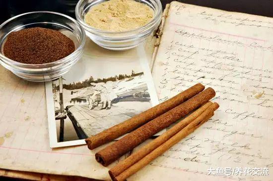 肉桂粉用来养花得6大作用, 让花卉远离病虫害